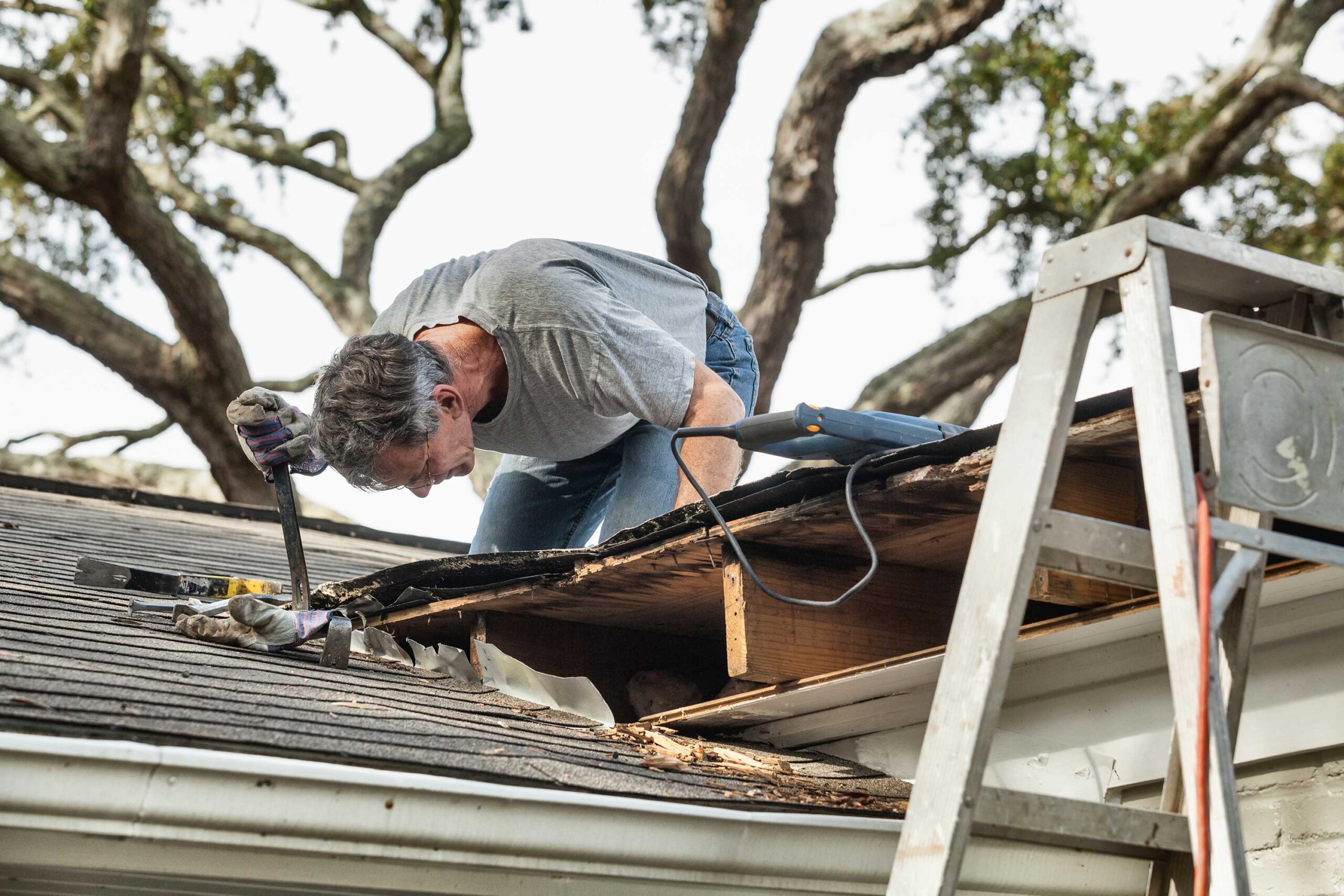 tree roof damage, Sarasota